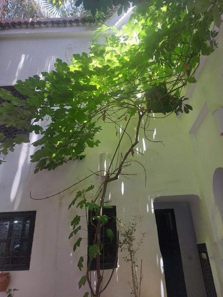 Riad Dar Lalla Fatna 마라케시 외부 사진